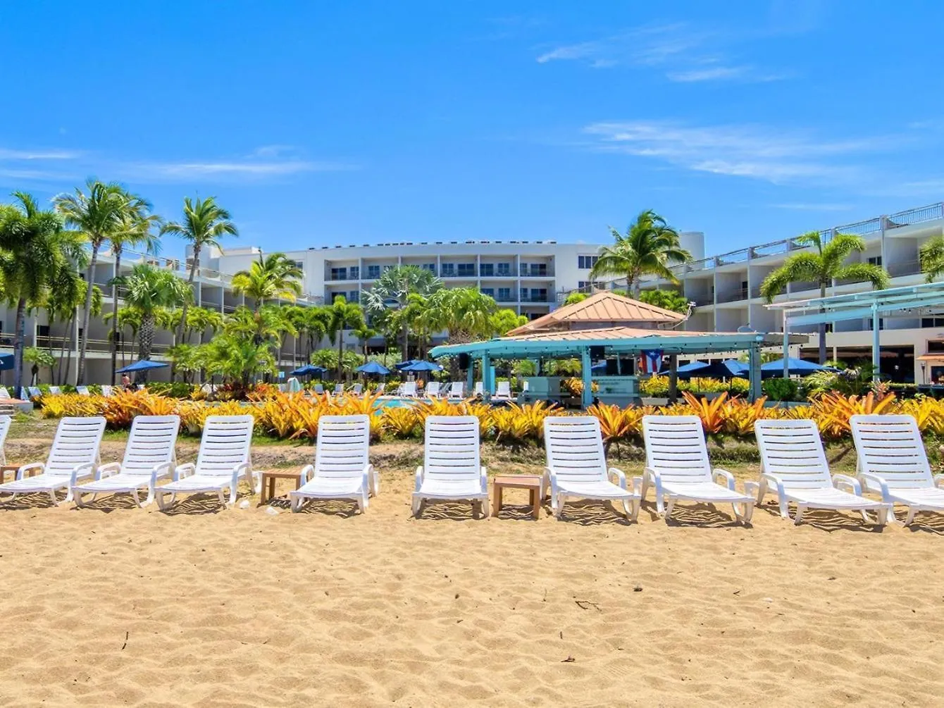 Rincon Of The Seas Grand Caribbean Hotel